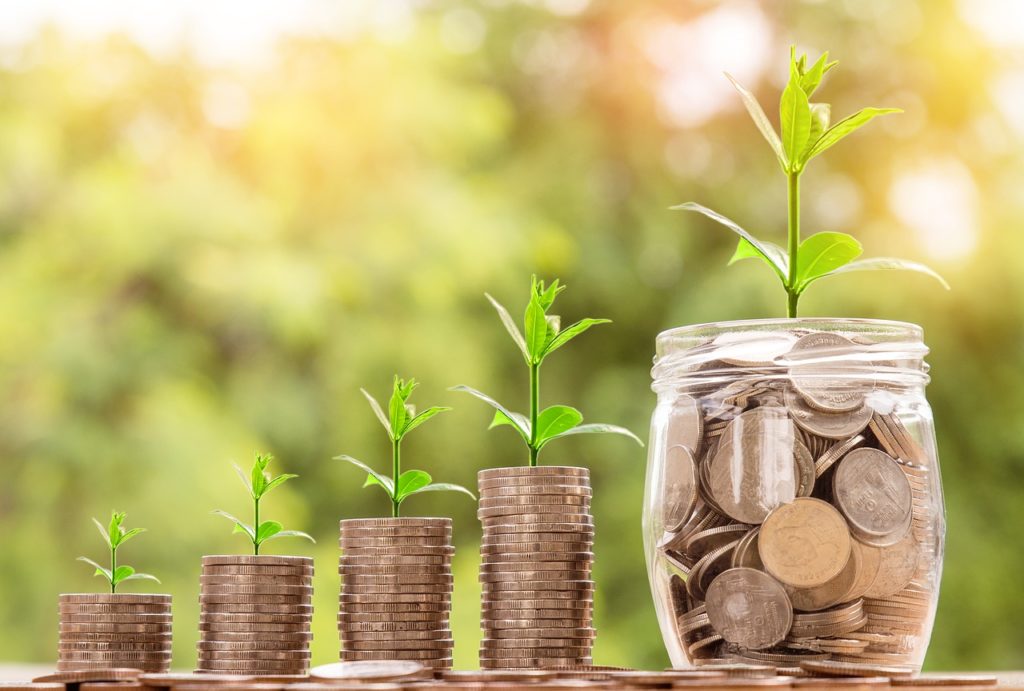 Microfinance Automation and Mobile Loan Portal